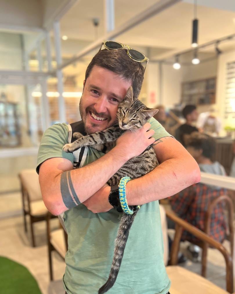 Cosmo Gatú Adotado en la Zona Gatús, área de adopciones de Gatú Cat Café