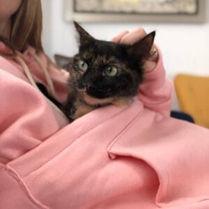 Hoodie Color Rosa Talla M