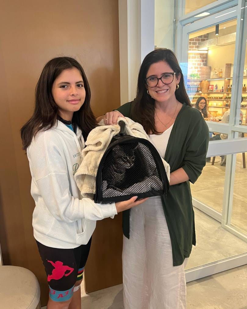 Jess Gatú Adotado en la Zona Gatús, área de adopciones de Gatú Cat Café