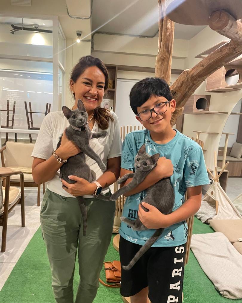 Lorelei y Rory Gatús Adotado en la Zona Gatús, área de adopciones de Gatú Cat Café