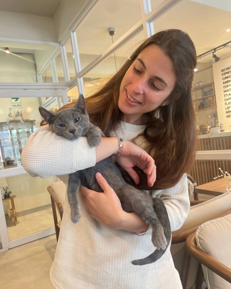 Merlín Gatú Adotado en la Zona Gatús, área de adopciones de Gatú Cat Café
