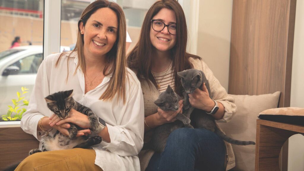 Somo Gatú Cat Café, una cafetería con Gatitos rescatados